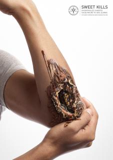 Diabetes Association of Thailand: Chocolate Brownie